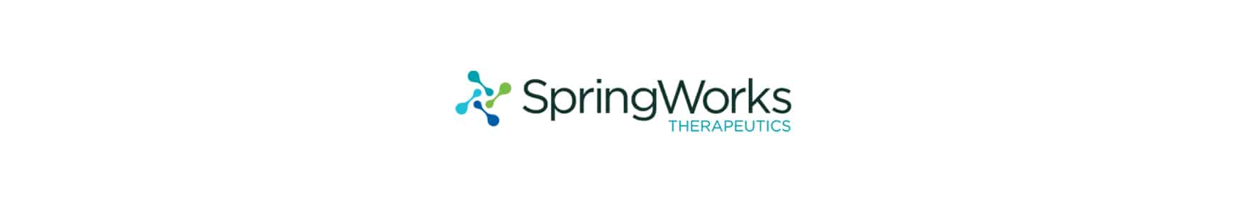 SpringWorks Case Study